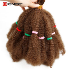 Wignee Afro Kinky Bulk Synthetic Hair Extension for Women Crochet Twist Braiding Hair Bundle Natural Black For African American