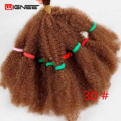 Wignee Afro Kinky Bulk Synthetic Hair Extension for Women Crochet Twist Braiding Hair Bundle Natural Black For African American